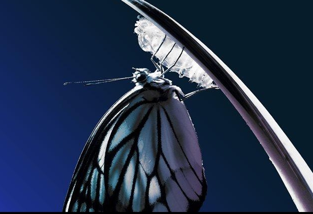 What’s the Secret to Creating Lasting Change in Your Life?